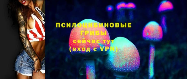 Альфа ПВП Аркадак