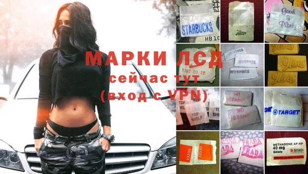 Альфа ПВП Аркадак