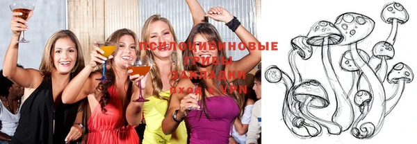 Альфа ПВП Аркадак