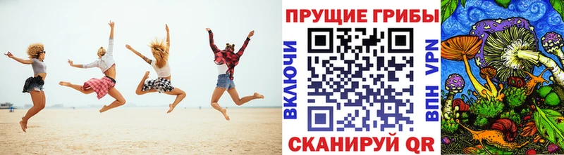 Псилоцибиновые грибы Magic Shrooms  закладки  Валдай 