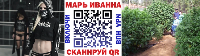 Каннабис сатива Валдай